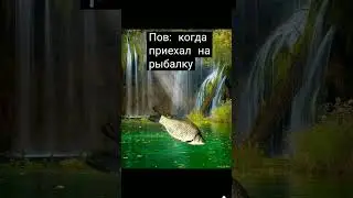 когда приехал на рыбалку#shorts