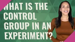 What is the control group in an experiment?