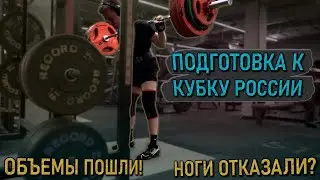 НЕ БЕЗ Проблем, но НАЧАЛО ПОЛОЖЕНО | Кубок России [3]