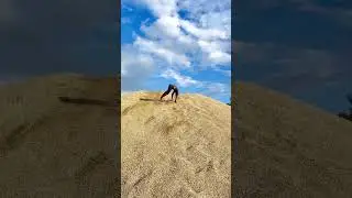 Spiderman Funny Fall From Clif