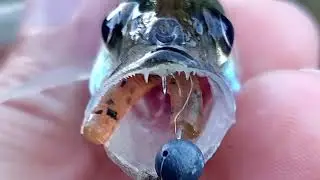 спиннинг MIFINE NANO JIG (0.5-2) 168 Мормышинг. Микроджиг. Нано джиг.