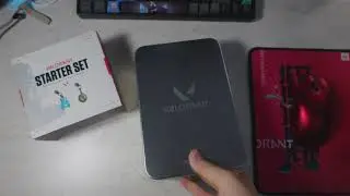 VALORANT Buddy Starter Set Unboxing (RIOT MERCH)
