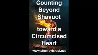 Counting beyond Shavuot toward a Circumcised Heart