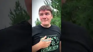 Дорого ли путешествовать в Алтай? #путешествия #алтай