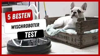 Die besten Wischroboter Test (2023)