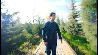 Давлатали Мирзод фаришта