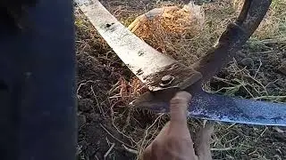 Скоба из рессоры против корней кавуна