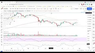 Elrond price enjoys strong support, but EGLD shows no follow through