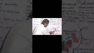 Sublingual Salivary Glands In Hindi #shorts#viralvideo#viralshorts