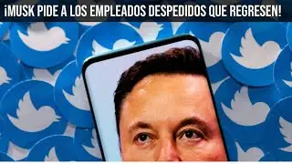 Elon Musk cobrará por usar Twitter?  || programadormp