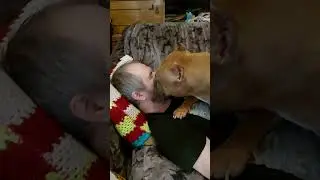 Булли подлизывается
