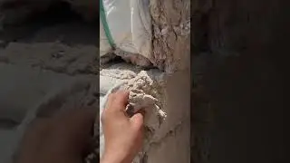 Хлопковая пыль Бухара