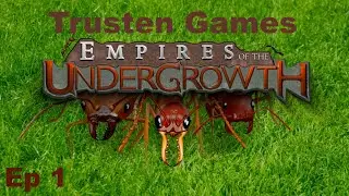 Modern SimAnt! - Empires of the Undergrowth - Episode 1