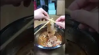 Knitting spaghetti