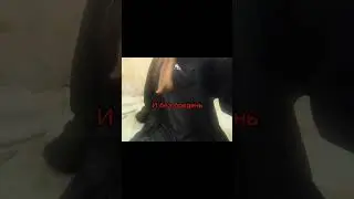 #mem#забытыйбала