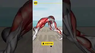 ➜ Flat Stomach Hack ➜ No Gym Required! Top 10 Exercises Revealed! Exercise #9