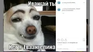 Делаю мемы