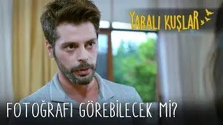 Levent Fotoğrafı Görebilecek Mi? | Yaralı Kuşlar 73. Bölüm