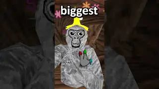 Biggest Game of Hide N Seek EVER!