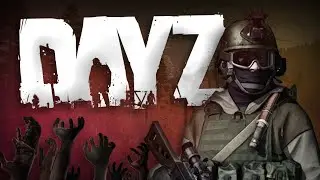 DayZ Moments That Cure (or give) Depression