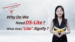 Why Do We Need DS-Lite?