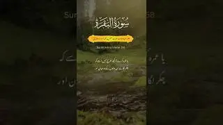 Surah Baqara Verse 157-158 Translation in Urdu #quran #quranrecitation #qurantranlation #naatspk