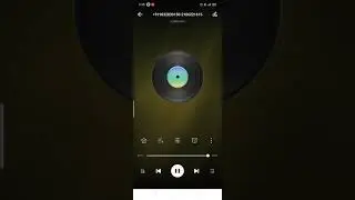 phonepay froudcall adio ricord