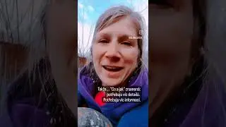 Speak Czech like a native 