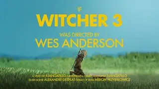 What if Wes Anderson Directed Witcher 3