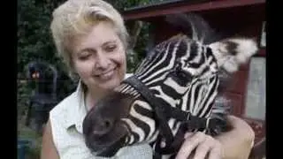 10 craziest wild exotic pets