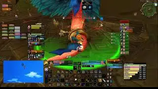 Hakkar the Soulflayer - Paladin Tank PoV - WoW Classic PTR