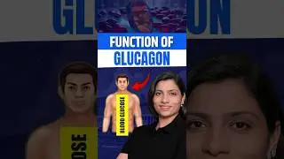 Function of Gulcagon #neetbiology #neetexam #neetbiologypreparation #neetcoaching