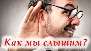 Как мы слышим?