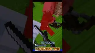 Minecraft MA sono Sonic P.3 #shorts #sonic