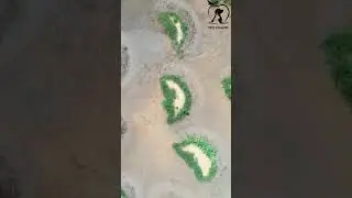 মরুভূমিতে প্রাণিরা কিভাবে বেঁচে থাকে। 