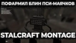 ПОФАРМИЛ БЛИН ПСИ-МАЯЧКОВ | STALCRAFT