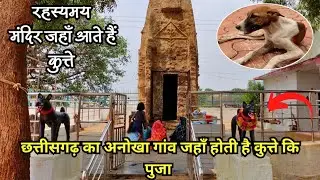 छत्तीसगढ़ के इस गांव में कि जाती है कुत्ते कि पुजा | इस मंदिर में रहते हैं कुत्ते | कुकुरदेव CG
