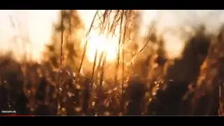 ГОЙДА, РУСЬ!!!! (русские в Австралии ч. 2)