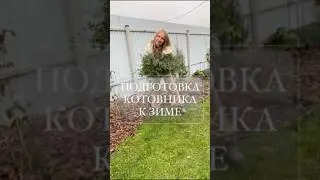 Как и когда обрезать котовник? #сад #уходзасадом #дача #котовник #котовникфассена #garden