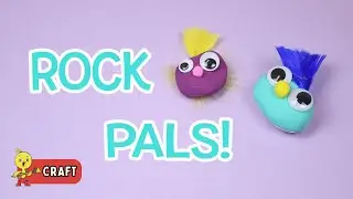CRAFT: Pet Rock Craft