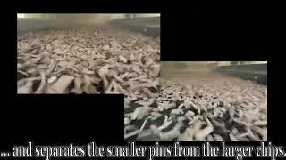 Ground Wood Fiber ScreeningHQ