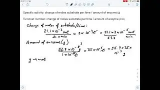 Finding the turnover number of an enzyme