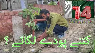 How many plants were planted on independence day