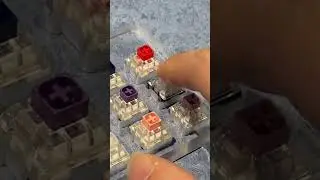 King of Kailh Hako Switches