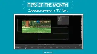 TIPS OF THE MONTH - HOW TO MAKE CAMERA MOVEMENTS IN TV PAINT