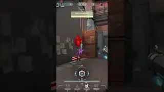 Pro Neon. Twitch.tv/flareiot