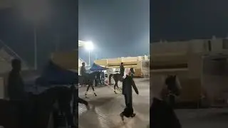 Dubai police horse patrolling |Zabeel stadium | Dubai