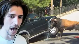 xQc Reacts to Damn Nature You Scary | Funny Scary Animal Encounters
