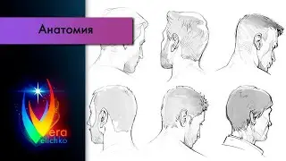 Стрим №189: Построение головы в сложных ракурсах