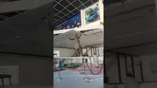 Gypsum Concealed Ceiling Works